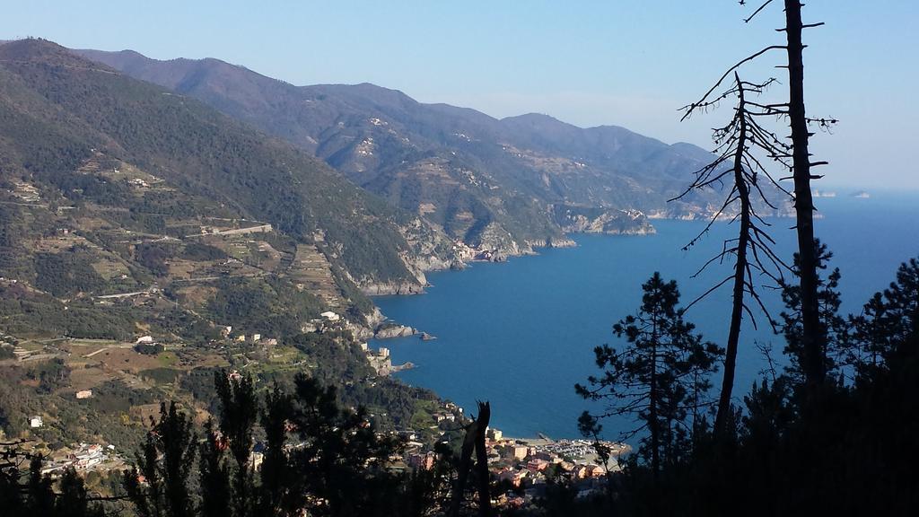 Готель Raggi Di Sole Монтероссо-аль-Маре Екстер'єр фото
